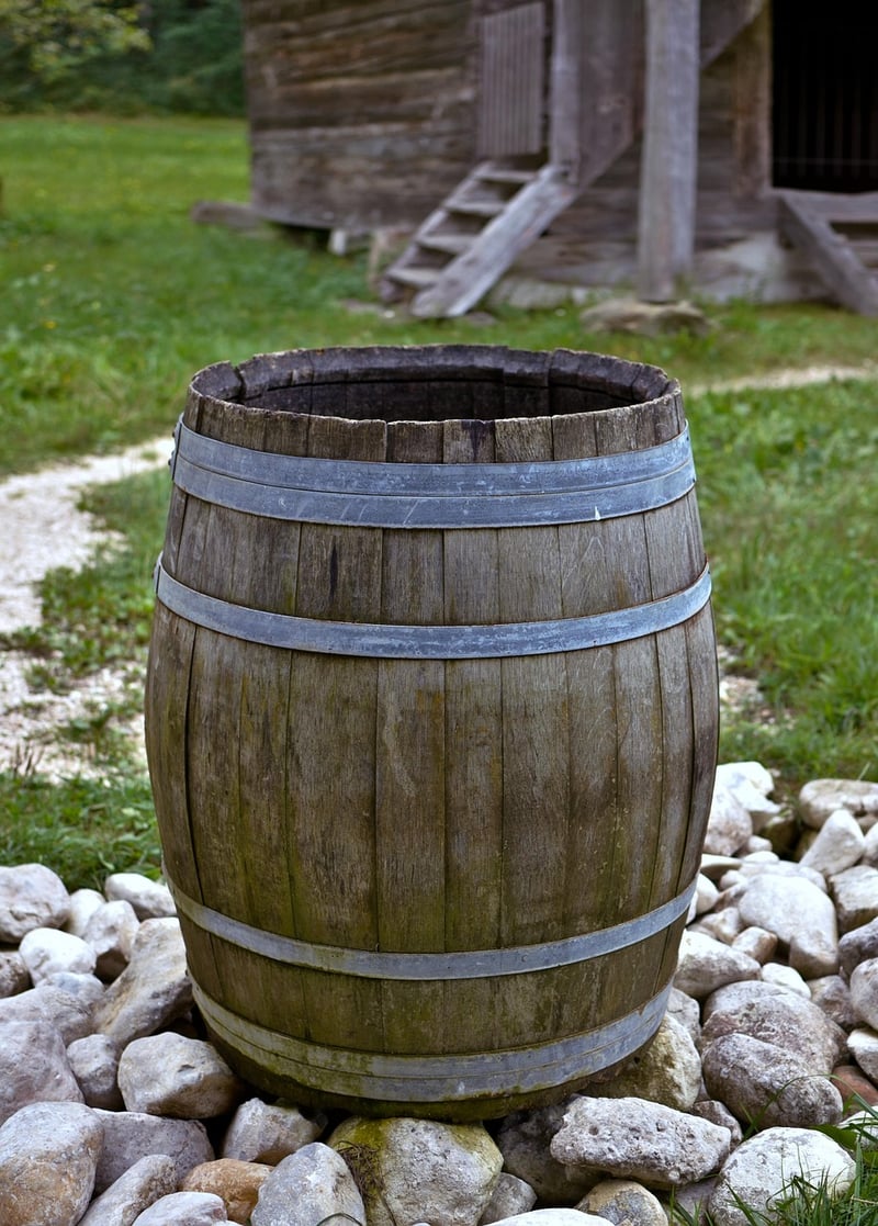 Rain Barrel for Water Collection